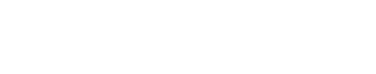 Ninjaforce